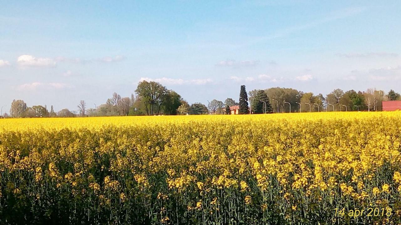 Fienile Fico Fiera Lägenhet Bologna Exteriör bild